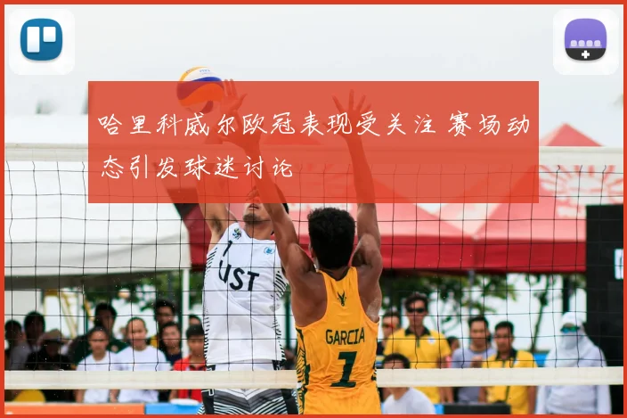 哈里科威尔欧冠表现受关注 赛场动态引发球迷讨论