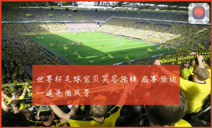 世界杯足球宝贝笑容抢镜 成赛场边一道亮丽风景